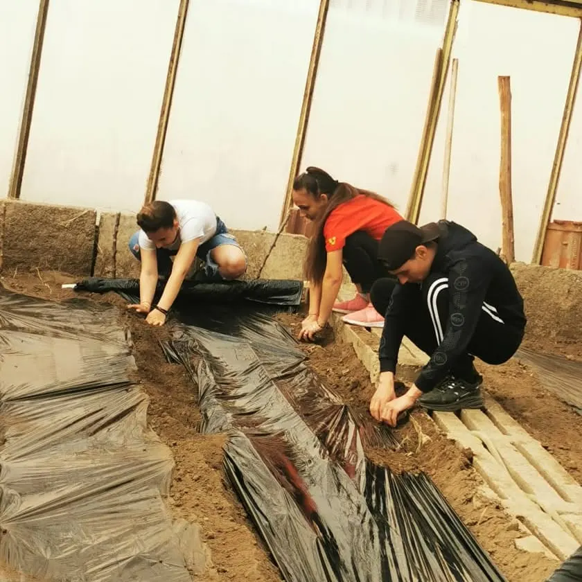 Three young people preparing soil beds in a greenhouse